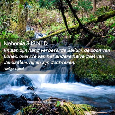 Picture 02 - Nehemia 3:12 NLD - En aan zijn hand verbeterde Sallum, de zoon van - Bible Verse Picture