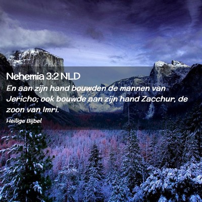 Picture 02 - Nehemia 3:2 NLD - En aan zijn hand bouwden de mannen van Jericho; - Bible Verse Picture