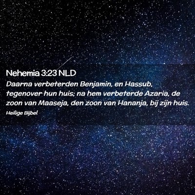 Picture 02 - Nehemia 3:23 NLD - Daarna verbeterden Benjamin, en Hassub, tegenover - Bible Verse Picture
