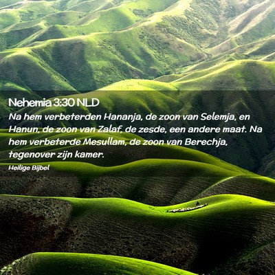 Picture 02 - Nehemia 3:30 NLD - Na hem verbeterden Hananja, de zoon van Selemja, - Bible Verse Picture