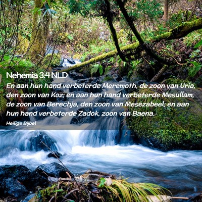 Picture 02 - Nehemia 3:4 NLD - En aan hun hand verbeterde Meremoth, de zoon van - Bible Verse Picture