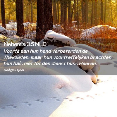 Picture 02 - Nehemia 3:5 NLD - Voorts aan hun hand verbeterden de Thekoieten; - Bible Verse Picture