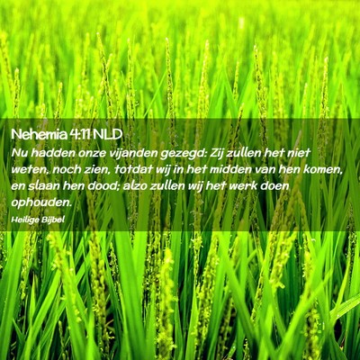 Picture 02 - Nehemia 4:11 NLD - Nu hadden onze vijanden gezegd: Zij zullen het - Bible Verse Picture