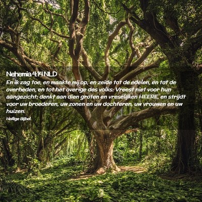 Picture 02 - Nehemia 4:14 NLD - En ik zag toe, en maakte mij op, en zeide tot de - Bible Verse Picture