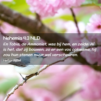 Picture 02 - Nehemia 4:3 NLD - En Tobia, de Ammoniet, was bij hem, en zeide: Al - Bible Verse Picture