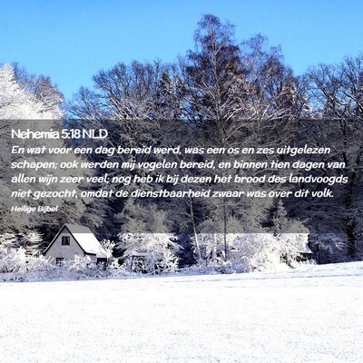 Picture 02 - Nehemia 5:18 NLD - En wat voor een dag bereid werd, was een os en - Bible Verse Picture