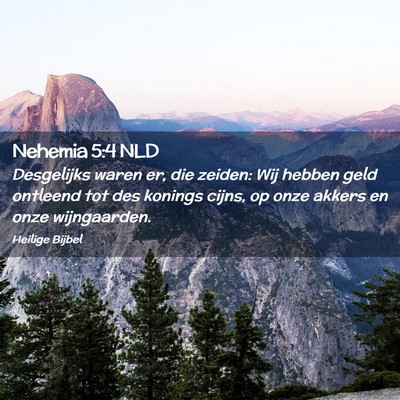 Picture 02 - Nehemia 5:4 NLD - Desgelijks waren er, die zeiden: Wij hebben geld - Bible Verse Picture