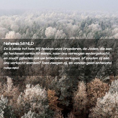 Picture 02 - Nehemia 5:8 NLD - En ik zeide tot hen: Wij hebben onze broederen, - Bible Verse Picture