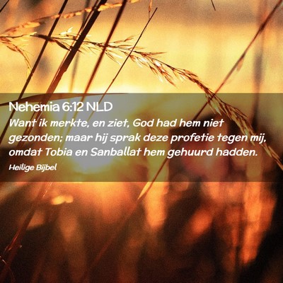 Picture 02 - Nehemia 6:12 NLD - Want ik merkte, en ziet, God had hem niet - Bible Verse Picture