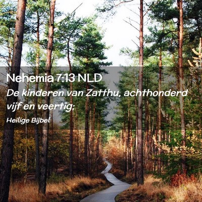 Picture 02 - Nehemia 7:13 NLD - De kinderen van Zatthu, achthonderd vijf en - Bible Verse Picture
