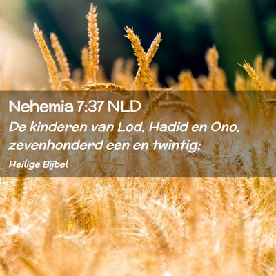 Picture 02 - Nehemia 7:37 NLD - De kinderen van Lod, Hadid en Ono, zevenhonderd - Bible Verse Picture