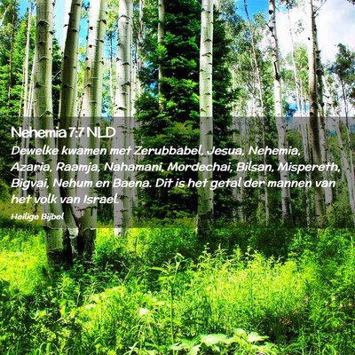 Picture 02 - Nehemia 7:7 NLD - Dewelke kwamen met Zerubbabel, Jesua, Nehemia, - Bible Verse Picture