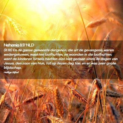 Picture 02 - Nehemia 8:17 NLD - (8:18) En de ganse gemeente dergenen, die uit de - Bible Verse Picture