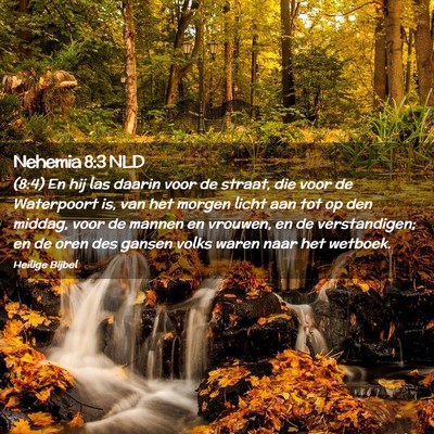 Picture 02 - Nehemia 8:3 NLD - (8:4) En hij las daarin voor de straat, die voor - Bible Verse Picture