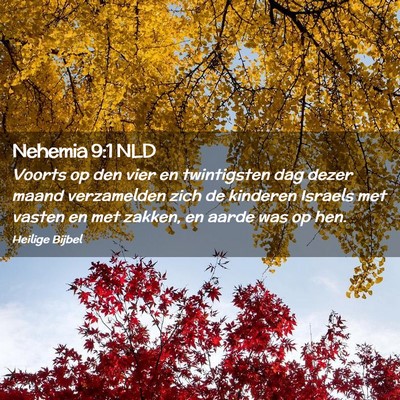 Picture 02 - Nehemia 9:1 NLD - Voorts op den vier en twintigsten dag dezer maand - Bible Verse Picture