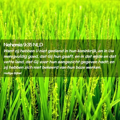 Picture 02 - Nehemia 9:35 NLD - Want zij hebben U niet gediend in hun koninkrijk, - Bible Verse Picture