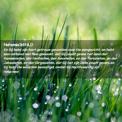 Picture 02 - Nehemia 9:8 NLD - En Gij hebt zijn hart getrouw gevonden voor Uw - Bible Verse Picture