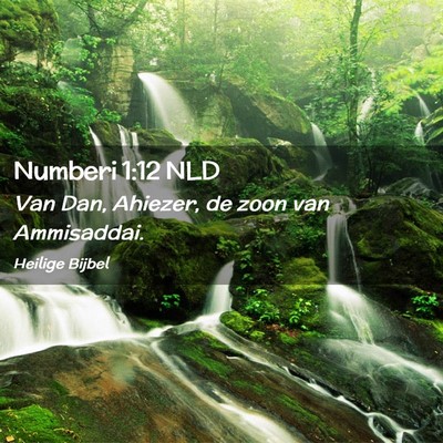 Picture 02 - Numberi 1:12 NLD - Van Dan, Ahiezer, de zoon van - Bible Verse Picture
