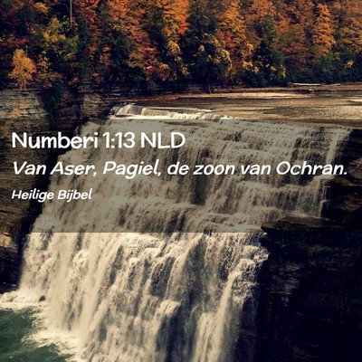 Picture 02 - Numberi 1:13 NLD - Van Aser, Pagiel, de zoon van - Bible Verse Picture