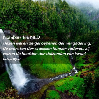 Picture 02 - Numberi 1:16 NLD - Dezen waren de geroepenen der vergadering, de - Bible Verse Picture