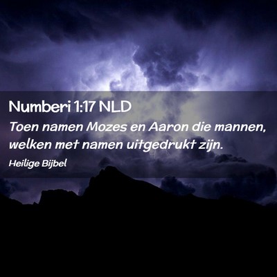 Picture 02 - Numberi 1:17 NLD - Toen namen Mozes en Aaron die mannen, welken met - Bible Verse Picture