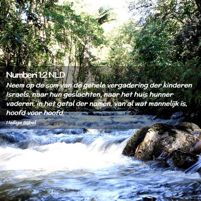 Picture 02 - Numberi 1:2 NLD - Neem op de som van de gehele vergadering der - Bible Verse Picture