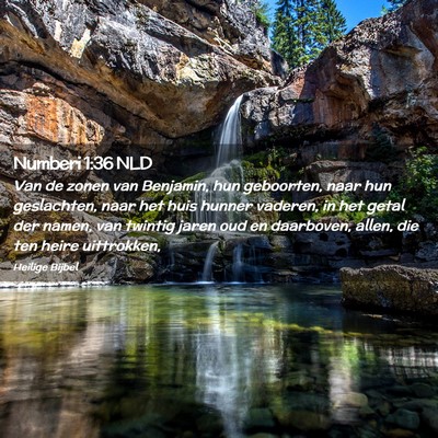 Picture 02 - Numberi 1:36 NLD - Van de zonen van Benjamin, hun geboorten, naar - Bible Verse Picture