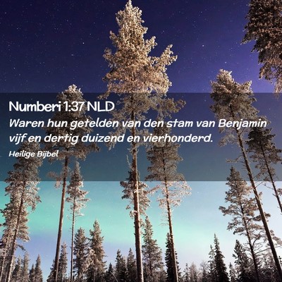 Picture 02 - Numberi 1:37 NLD - Waren hun getelden van den stam van Benjamin vijf - Bible Verse Picture