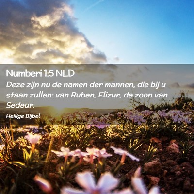 Picture 02 - Numberi 1:5 NLD - Deze zijn nu de namen der mannen, die bij u staan - Bible Verse Picture