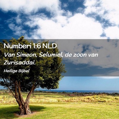 Picture 02 - Numberi 1:6 NLD - Van Simeon, Selumiel, de zoon van - Bible Verse Picture