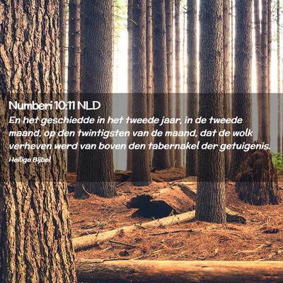 Picture 02 - Numberi 10:11 NLD - En het geschiedde in het tweede jaar, in de - Bible Verse Picture