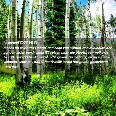 Picture 02 - Numberi 10:29 NLD - Mozes nu zeide tot Hobab, den zoon van Rehuel, - Bible Verse Picture