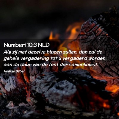 Picture 02 - Numberi 10:3 NLD - Als zij met dezelve blazen zullen, dan zal de - Bible Verse Picture
