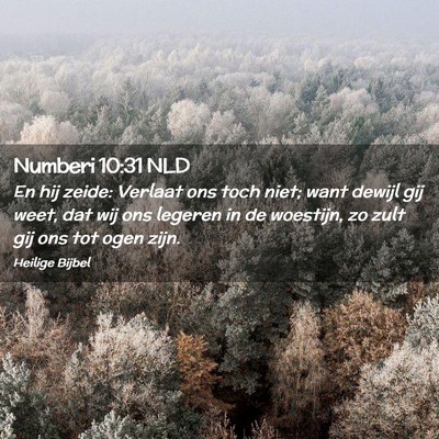 Picture 02 - Numberi 10:31 NLD - En hij zeide: Verlaat ons toch niet; want dewijl - Bible Verse Picture