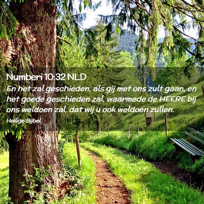 Picture 02 - Numberi 10:32 NLD - En het zal geschieden, als gij met ons zult gaan, - Bible Verse Picture