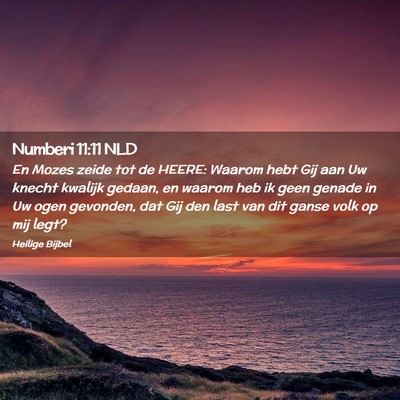 Picture 02 - Numberi 11:11 NLD - En Mozes zeide tot de HEERE: Waarom hebt Gij aan - Bible Verse Picture