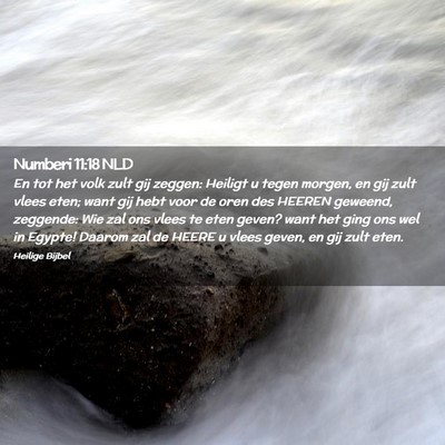Picture 02 - Numberi 11:18 NLD - En tot het volk zult gij zeggen: Heiligt u tegen - Bible Verse Picture