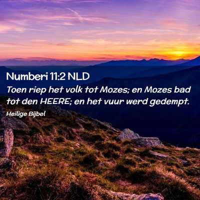 Picture 02 - Numberi 11:2 NLD - Toen riep het volk tot Mozes; en Mozes bad tot - Bible Verse Picture