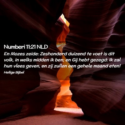 Picture 02 - Numberi 11:21 NLD - En Mozes zeide: Zeshonderd duizend te voet is dit - Bible Verse Picture