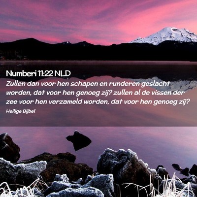 Picture 02 - Numberi 11:22 NLD - Zullen dan voor hen schapen en runderen geslacht - Bible Verse Picture