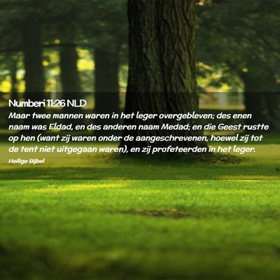 Picture 02 - Numberi 11:26 NLD - Maar twee mannen waren in het leger overgebleven; - Bible Verse Picture