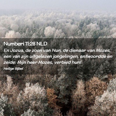 Picture 02 - Numberi 11:28 NLD - En Jozua, de zoon van Nun, de dienaar van Mozes, - Bible Verse Picture