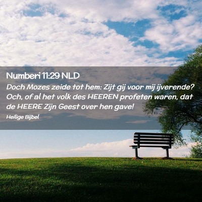 Picture 02 - Numberi 11:29 NLD - Doch Mozes zeide tot hem: Zijt gij voor mij - Bible Verse Picture