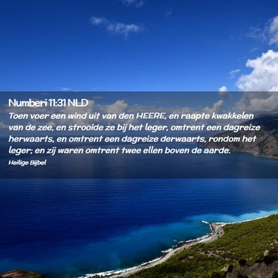 Picture 02 - Numberi 11:31 NLD - Toen voer een wind uit van den HEERE, en raapte - Bible Verse Picture