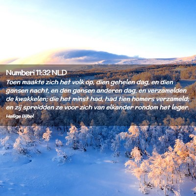 Picture 02 - Numberi 11:32 NLD - Toen maakte zich het volk op, dien gehelen dag, - Bible Verse Picture