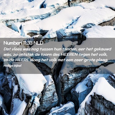 Picture 02 - Numberi 11:33 NLD - Dat vlees was nog tussen hun tanden, eer het - Bible Verse Picture