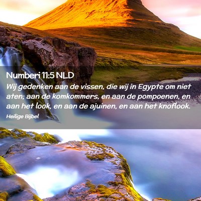 Picture 02 - Numberi 11:5 NLD - Wij gedenken aan de vissen, die wij in Egypte om - Bible Verse Picture