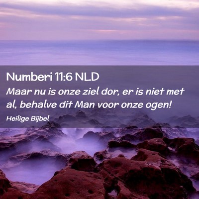 Picture 02 - Numberi 11:6 NLD - Maar nu is onze ziel dor, er is niet met al, - Bible Verse Picture