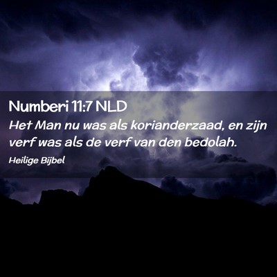 Picture 02 - Numberi 11:7 NLD - Het Man nu was als korianderzaad, en zijn verf - Bible Verse Picture