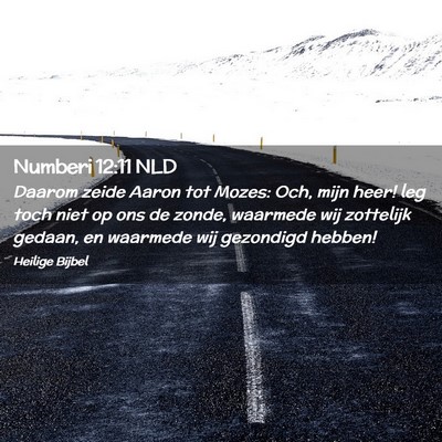 Picture 02 - Numberi 12:11 NLD - Daarom zeide Aaron tot Mozes: Och, mijn heer! leg - Bible Verse Picture